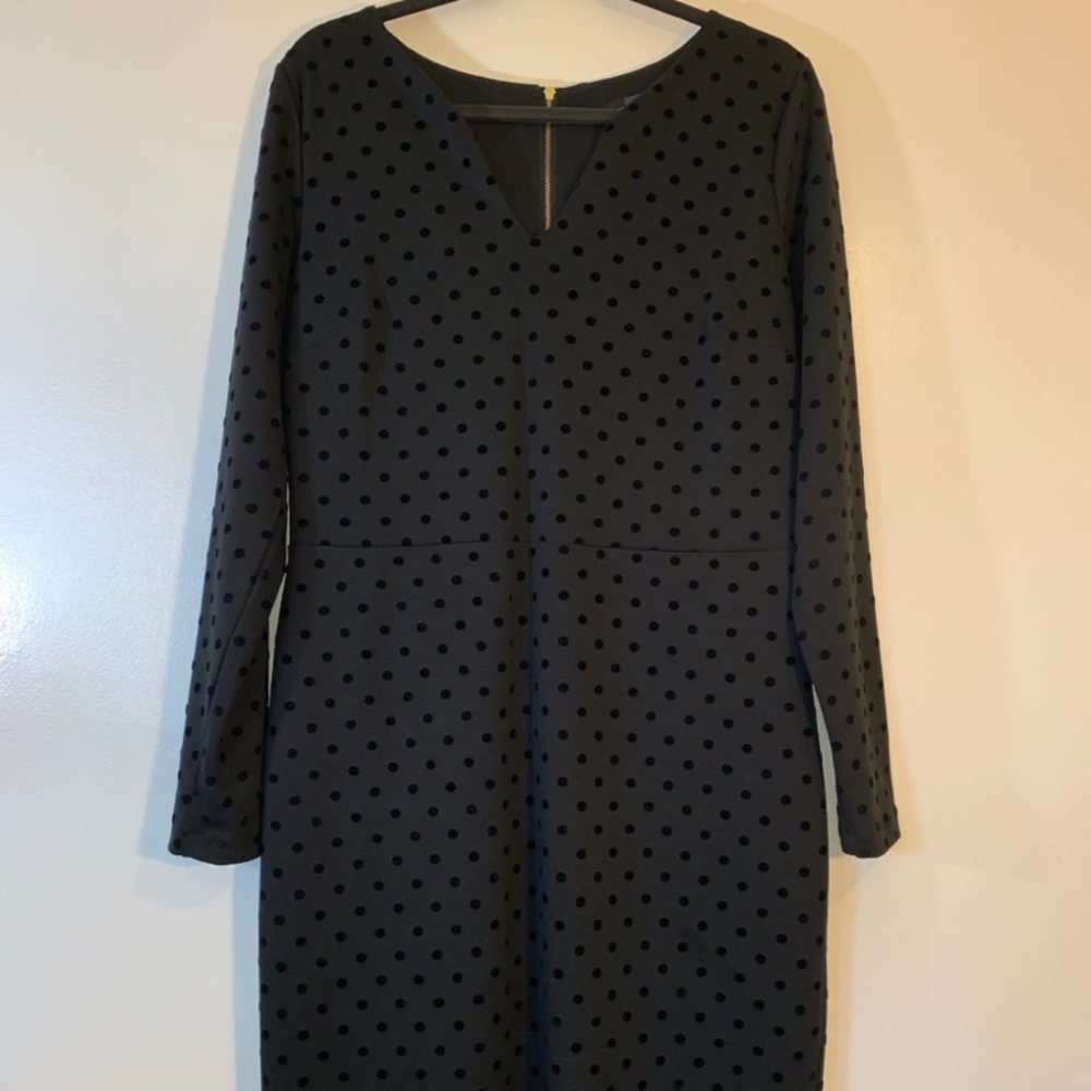 The Limited black long sleeve polka dot dress, 12